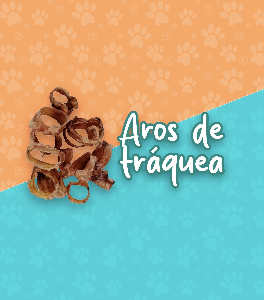 Aros de tráquea (12 unidades)