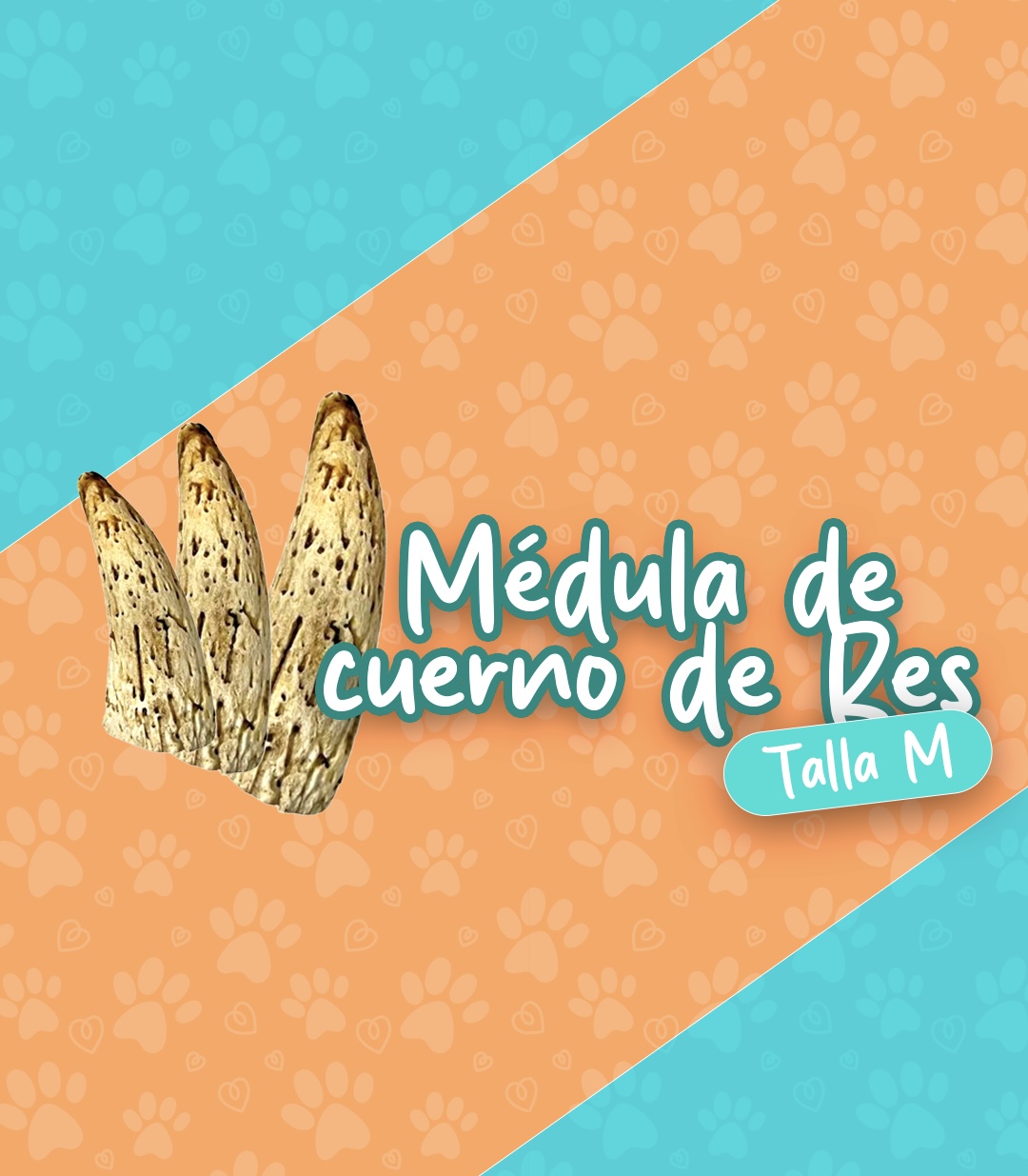 Médula de cuerno (Talla M)